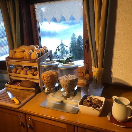 Pensión Ertlschweigerhaus - - Donnersbach